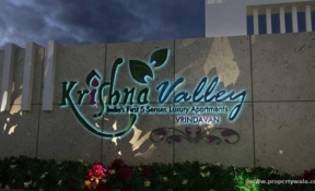 J119066611.front-view.455304l